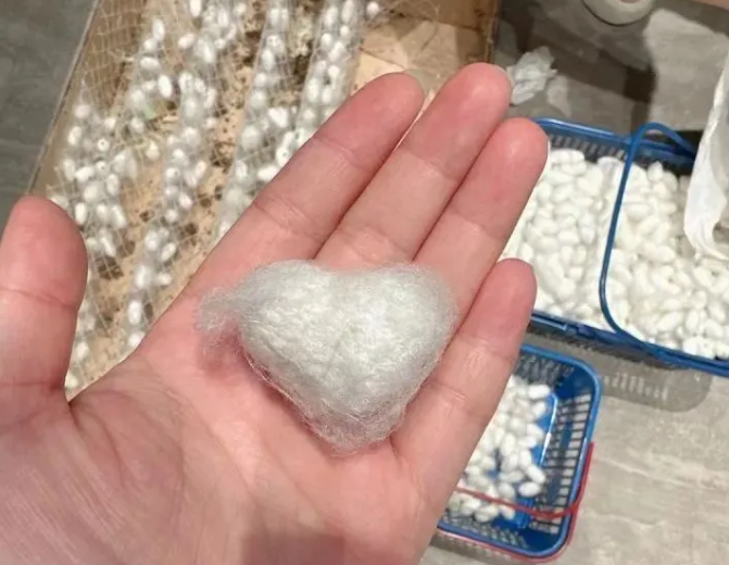 女孩養(yǎng)蠶做百家被給姐姐當嫁妝 網(wǎng)友：這份愛很溫暖