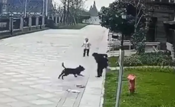 央媒評女童被咬:狗主人須繩之以法!