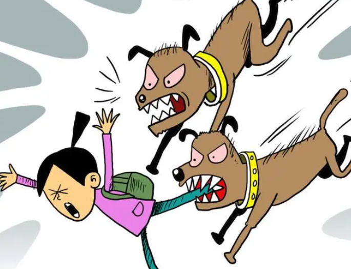 被惡犬咬傷的成都女童仍未蘇醒,鄰居稱“犬主是兩女性”系瞎傳
