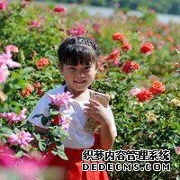 45384_取卵后出血影響當(dāng)月移植鮮胚嗎？