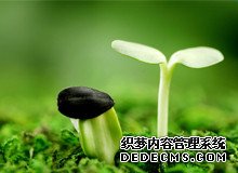 88646_瑞白上午打還是下午打好?