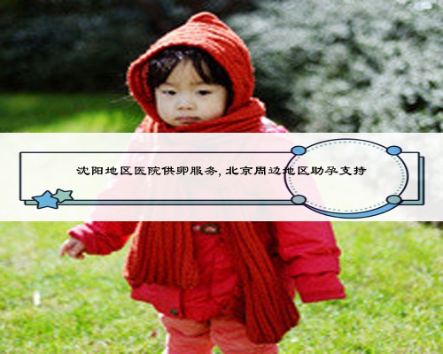 沈陽地區醫院供卵服務,北京周邊地區助孕支持