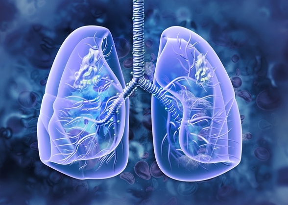 1701138908405751.png image.png