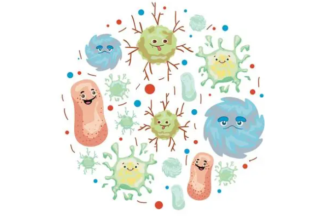 1701223617559950.png image.png