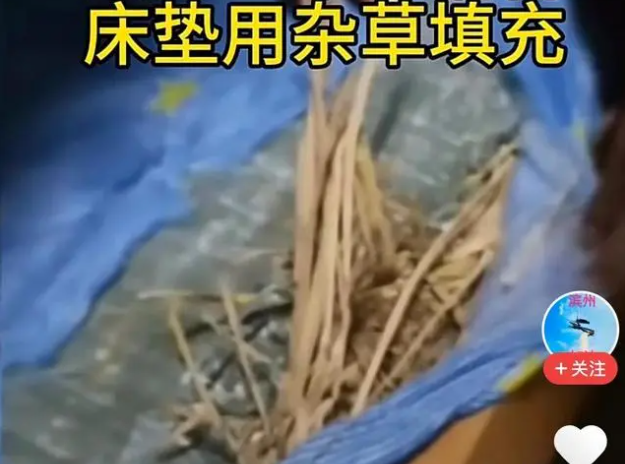 學校回應寢室床墊用雜草填充：正在調查！