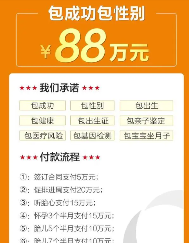 暗訪非法代孕公司 代孕者不乏大學生