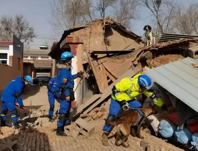 1703126056806767.png image.png