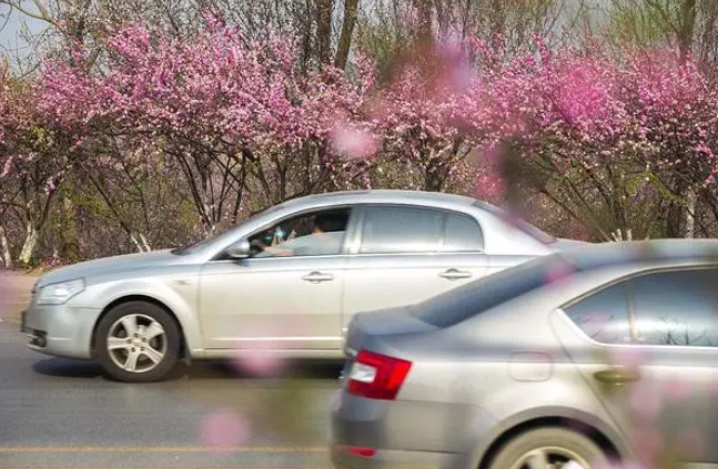 載孕婦車輛遭多次惡意別車，交警回應(yīng)：正在調(diào)查