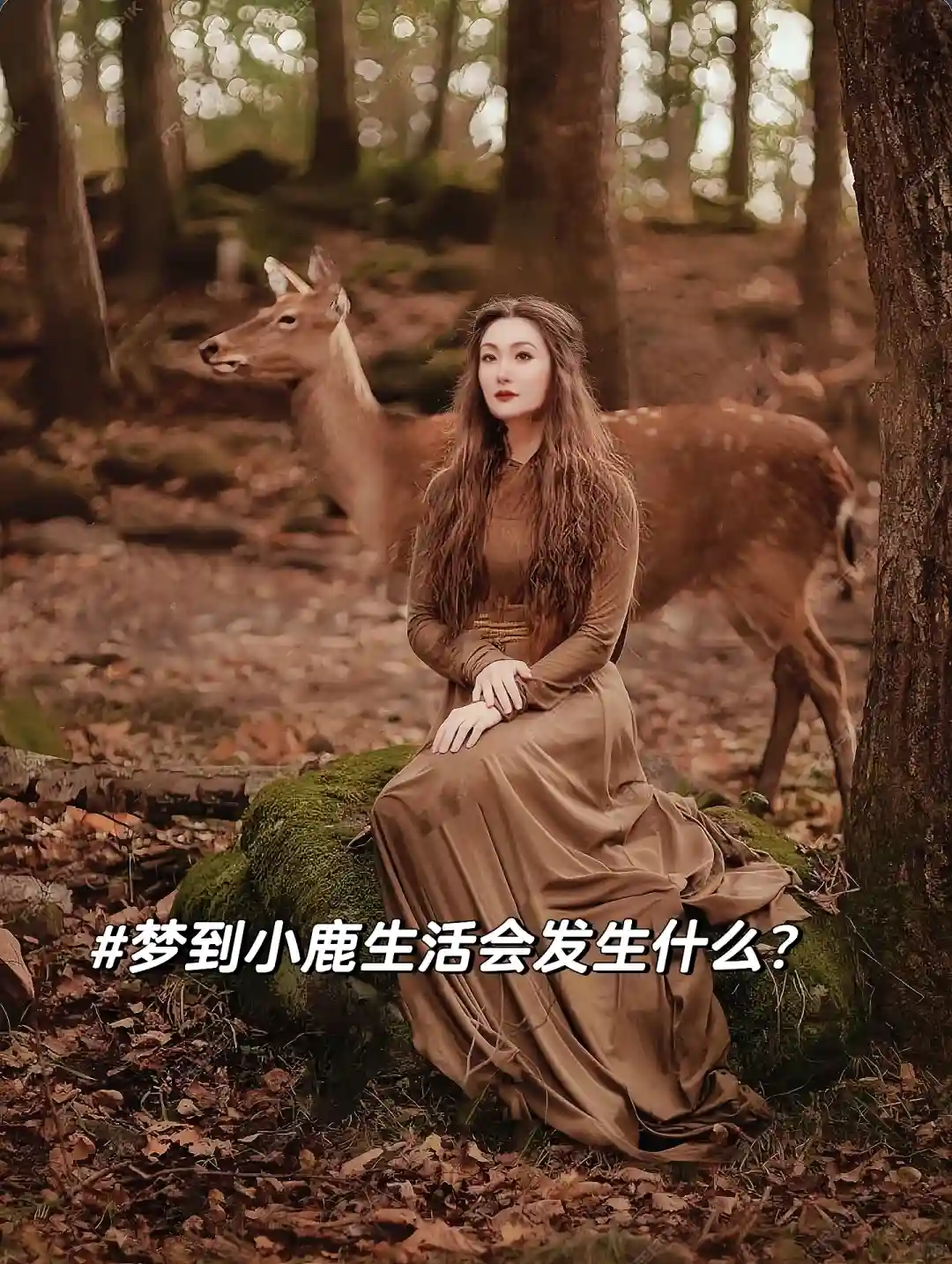 解夢：夢見小鹿代表什么？