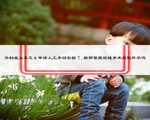 孕婦坐火車怎么申請(qǐng)人工手動(dòng)安檢？,輸卵管腹腔鏡手術(shù)后能懷孕嗎