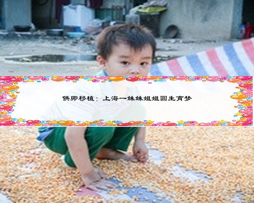 供卵移植：上海一妹妹姐姐圓生育夢(mèng)