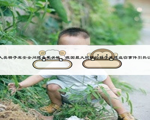 人類精子庫安全問題備受關注，我國最大規模的精子庫遭盜竊事件引熱議