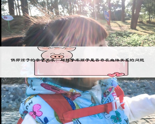 供卵孩子的親子關系:與精子庫孩子是否存在血緣關系的問題