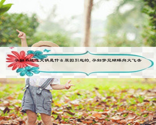 孕婦不能吃火鍋是什么原因引起的,孕婦夢見蝴蝶向火飛去