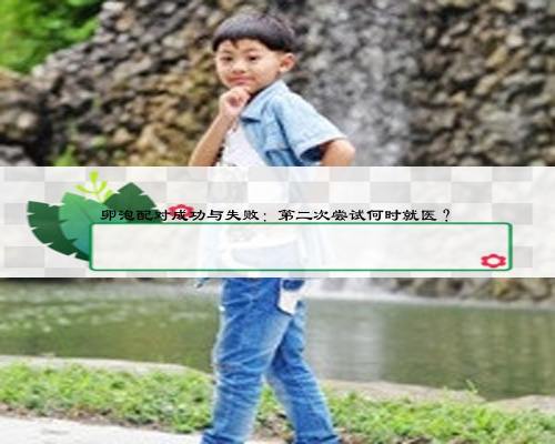 卵泡配對成功與失敗：第二次嘗試何時就醫？