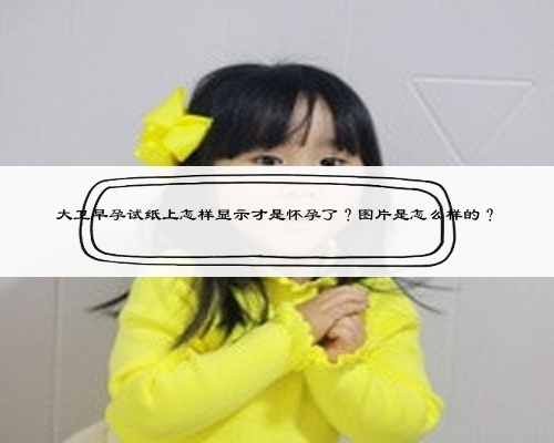 大衛(wèi)早孕試紙上怎樣顯示才是懷孕了？圖片是怎么樣的？