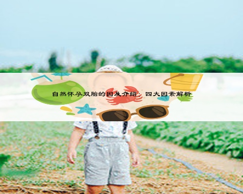 自然懷孕雙胎的因及介紹：四大因素解析