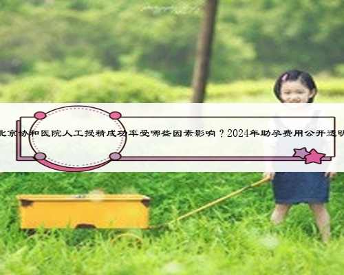 北京協(xié)和醫(yī)院人工授精成功率受哪些因素影響？2024年助孕費(fèi)用公開透明