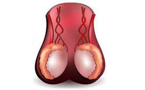 北京供卵試管群 北京最出名試管醫(yī)院你選對醫(yī)院了嗎？ ‘懷孕兩個月正常b超是男孩還是女孩’