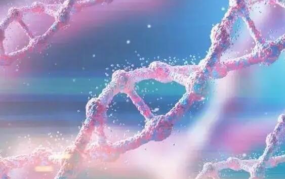 郴州三代試管 郴州南院試管沒以前人多了是真的嗎? ‘四維hr160次/分是男是女’