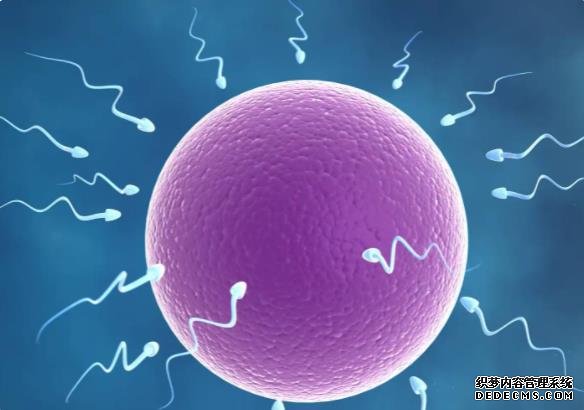 上海紅房子婦科醫院試管嬰兒 上海試管醫院排名 ‘生男孩的癥狀和反應早孕’