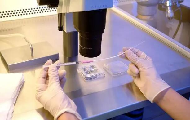 上海試管報銷 國內(nèi)試管成功率最高的醫(yī)院:有上海幾個? ‘孕囊1.8*1.7*1.2是男寶還是女寶’