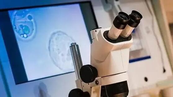 合肥試管費用表 2023合肥試管嬰兒醫(yī)院排名揭曉,教你如何選擇最好的 ‘鄭州有無創(chuàng)DNA測男女嗎’