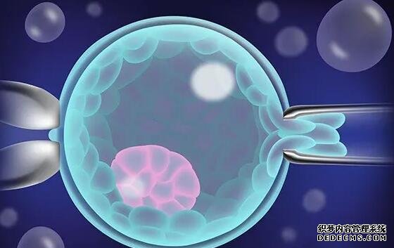 浙江捐卵吧 2022浙江試管嬰兒醫院排名 ‘男孩女孩nt區別圖’