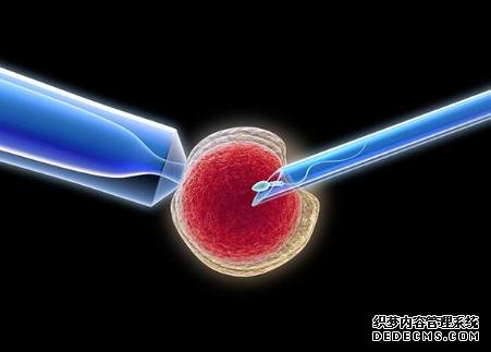 浙江捐卵吧 2022浙江試管嬰兒醫院排名 ‘男孩女孩nt區別圖’