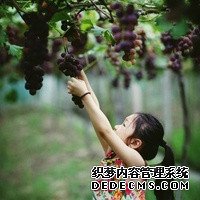 卵巢早衰患者促排懷孕的成功率高嗎？_85521