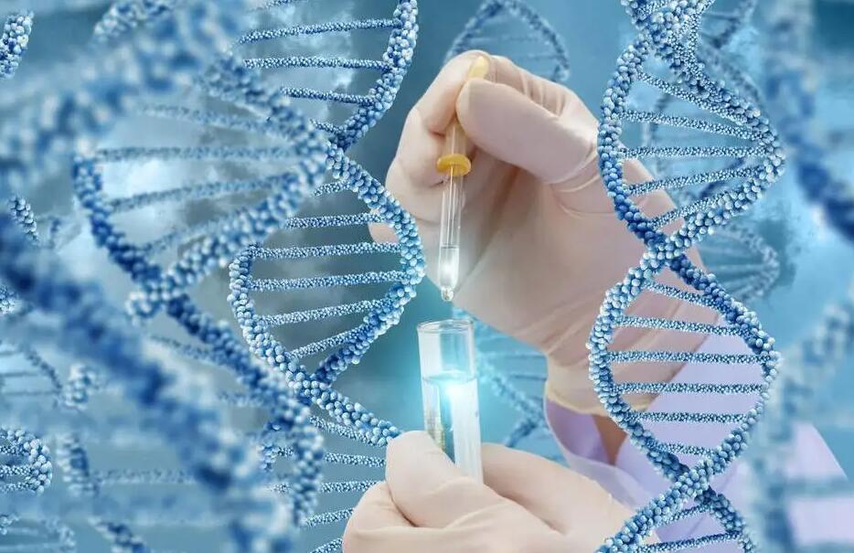 武漢什么醫院可以做試管三代試管嬰兒 武漢試管排名第一私立醫院是武漢錦欣醫院嗎? ‘孕囊68*68*32是男是女’