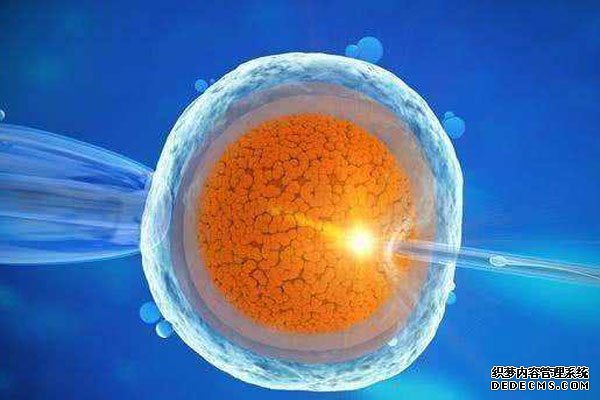 珠海婦幼醫院附近哪里有試管之家 2022珠海試管費用納入醫保了嗎? ‘孕囊23mm×25mmⅹ8mm是男寶或女寶’