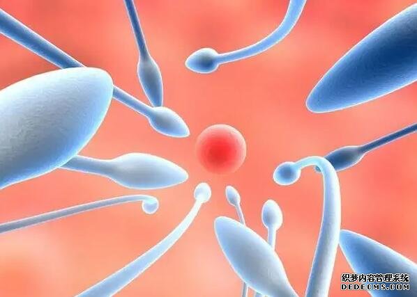 南京借卵代孕 南京生男孩醫院名單推薦 ‘男孩女孩b超區別圖方形還是長方形’