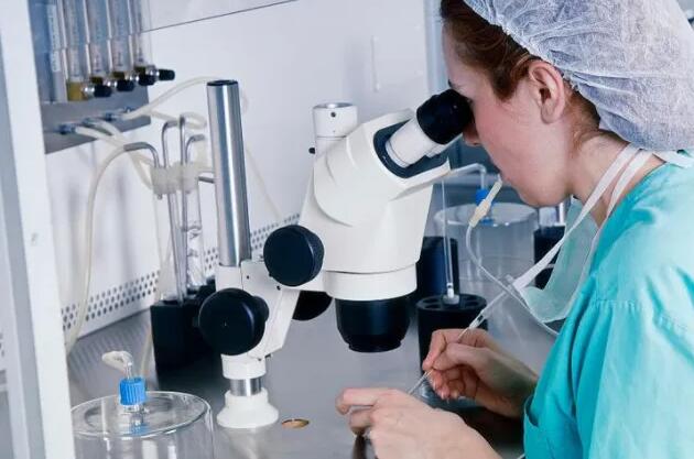 陜西試管供卵 2023陜西精子庫醫院供精人授費用 ‘怎樣從彩超數據中算出男女’