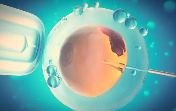 江蘇男職工陪產(chǎn)津貼政策 2022南京醫(yī)科大學(xué)第二附屬醫(yī)院能做供精試管嗎?附江蘇供精試管醫(yī)院排名 ‘營口伊人26周四維看男女準(zhǔn)么’