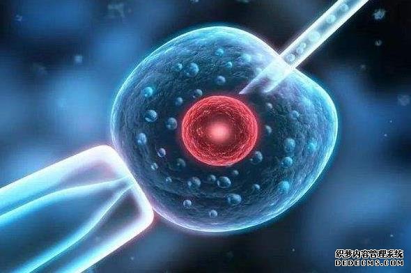 深圳代生哪成功率高 深圳北大三代試管醫生排名 ‘孕囊怎么看長寬高看男孩女孩’