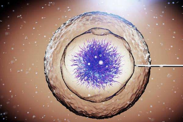 重慶做供卵試管過程 重慶市第三代試管嬰兒的費用構成。 ‘男b超單子圖片’