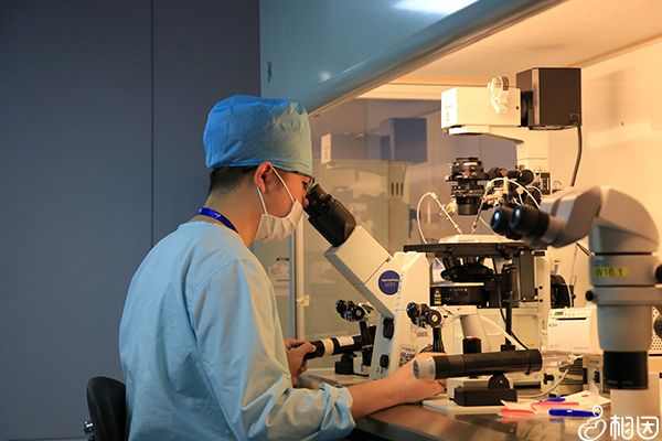 黑龍江不能做三代試管