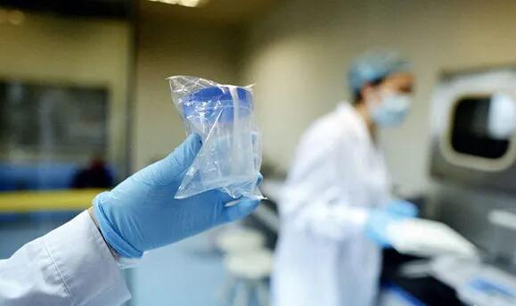 三代試管成功率是多少 費用多少?記錄我的三代試管經歷