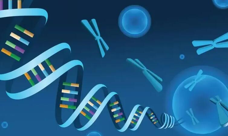 武漢試管機構 武漢供卵試管包生男孩醫院并不存在，2023供卵醫院名單及現狀分析 ‘b超如何測男女’