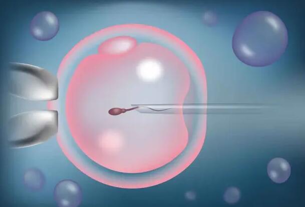 長沙三代試管 長沙中信湘雅醫(yī)院住宿指南 ‘13周懷孕b超單數(shù)據(jù)男孩女孩’