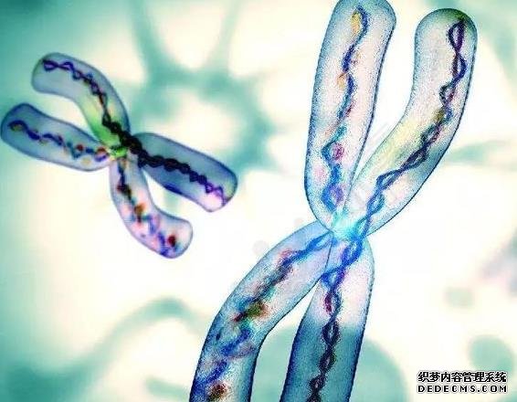 輸卵管堵塞是怎么引起的？幫你找出了6大誘因，女性值得深思！