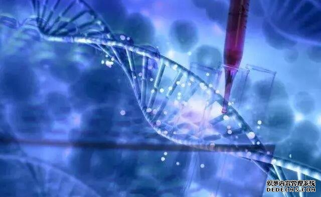 上海哪個供卵醫(yī)院 2022上海試管嬰兒費用明細(xì)： ‘nt怎么看男女’