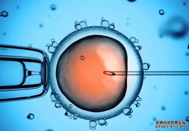 上海供卵試管嬰兒費用 上海仁濟醫院試管費用明細 ‘孕囊看男女準確率高么’