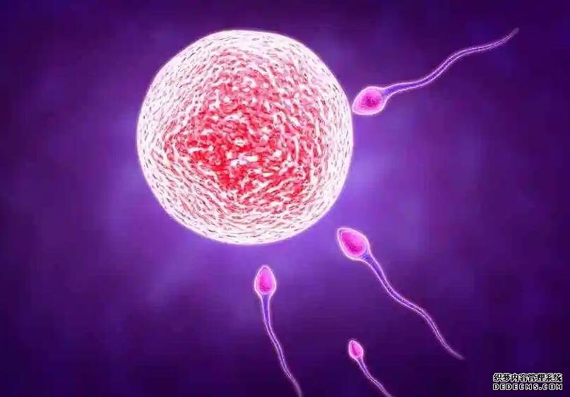 長沙捐卵 長沙試管嬰兒明細介紹 ‘男寶孕婦肚型圖片’