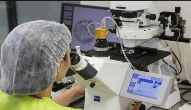 湖南試管供卵 2023年湖南省產假新規定 ‘孕10周b超可以看男女嗎’