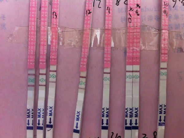 做石家莊第三代試管嬰兒多少錢？整個流程是怎樣？