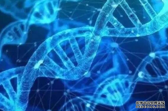 惠州園洲哪里有私人醫院B超看男女 廣東惠州試管醫院排名：為什么越來越多人關注排名？ ‘b超腿短是男孩多還是女孩多’