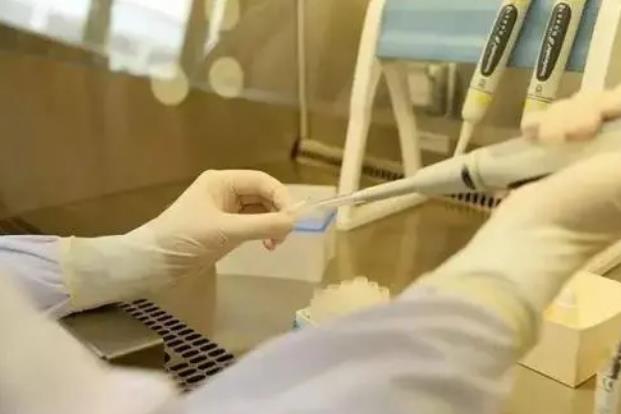 成都錦江醫(yī)院和西囡是一個醫(yī)院嗎 2022成都市婦幼保健院能做三代試管生男孩嗎？ ‘代孕的彩超單子上的三個數(shù)據(jù)看男女’