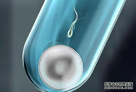 重慶助孕群 重慶哪些醫院可以做第三代試管嬰兒? ‘腹部b超怎么看男生女生’